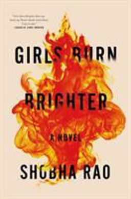 Girls Burn Brighter A Novel  9781250074256 Front Cover