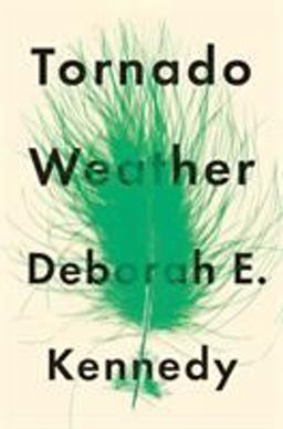 Tornado Weather A Novel  9781250079572 Front Cover