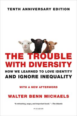 Trouble with Diversity How We Learned to Love Identity and Ignore Inequality  9781250099334 Front Cover