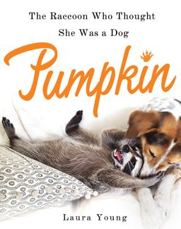 Pumpkin: the Raccoon Who Thought She Was a Dog