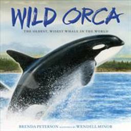 Wild Orca The Oldest, Wisest Whale in the World  9781250110695 Front Cover