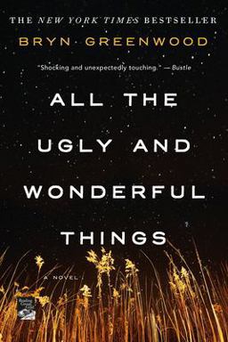 All the Ugly and Wonderful Things A Novel  9781250153968 Front Cover