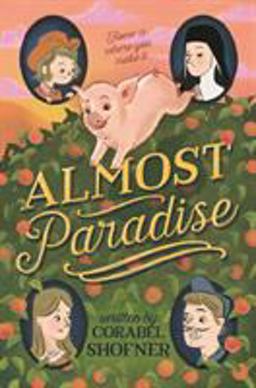 Almost Paradise  9781250158581 Front Cover