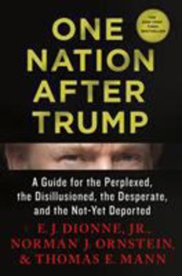 Making Democracy Great Again A Guide to Trumpism for the Perplexed, the Disillusioned, the Desperate, and the Not-Yet Deported  9781250164056 Front Cover