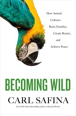 Becoming Wild How Animal Cultures Raise Families, Create Beauty, and Achieve Peace  9781250173331 Front Cover