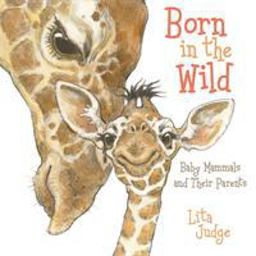 Born in the Wild Baby Animals and Their Parents  9781250189905 Front Cover