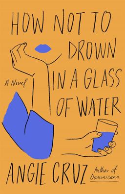 How Not to Drown in a Glass of Water A Novel  9781250208453 Front Cover