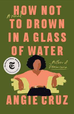How Not to Drown in a Glass of Water A Novel  9781250208460 Front Cover