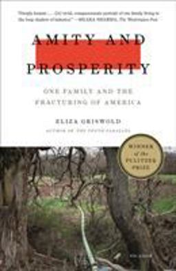 Amity and Prosperity One Family and the Fracturing of America  9781250215079 Front Cover