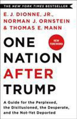 One Nation After Trump: A Guide for the Perplexed, the Disillusioned, the Desperate, and the Not-yet Deported  9781250293633 Front Cover