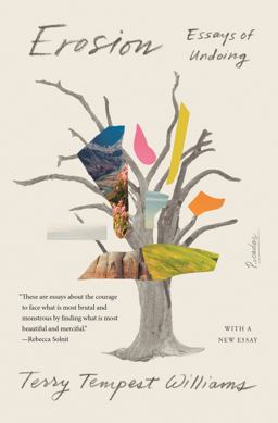 Erosion Essays of Undoing  9781250758248 Front Cover