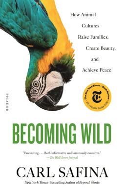 Becoming Wild How Animal Cultures Raise Families, Create Beauty, and Achieve Peace  9781250787613 Front Cover