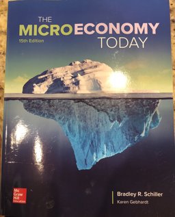 The Micro Economy Today