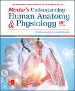 ISE Mader's Understanding Human Anatomy &amp; Physiology 10th 9781260565997 Front Cover