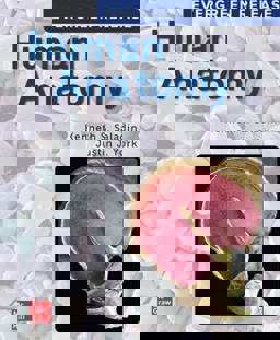 Human Anatomy  9781264125715 Front Cover