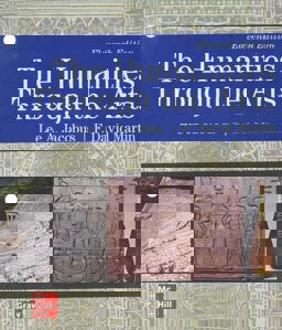     HUMANITIES THROUGH ARTS (LOOSELEAF)  9781264360192 Front Cover