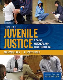 Juvenile Justice A Social, Historical, and Legal Perspective 4th 9781284031126 Front Cover