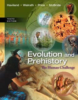 Evolution and Prehistory: The Human Challenge  9781285061450 Front Cover