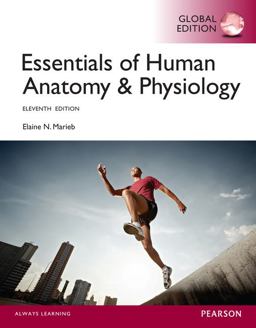Essentials of Human Anatomy and Physiology, Global Edition