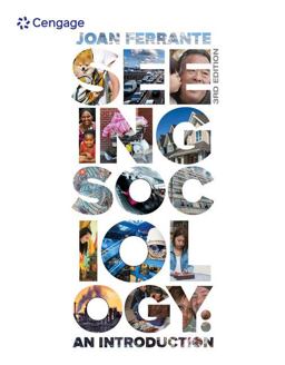 Seeing Socioloogy: An Introduction  9781305094369 Front Cover