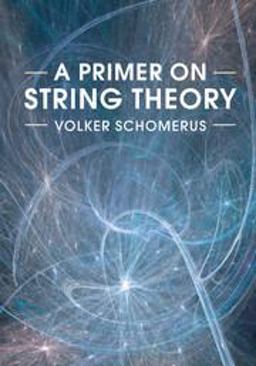 Primer on String Theory  9781316612835 Front Cover
