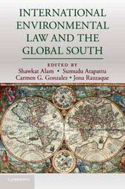 International Environmental Law and the Global South:  9781316621042 Front Cover