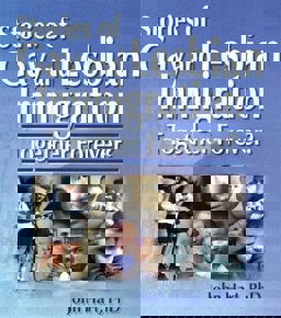 Stories of Gay and Lesbian Immigration Stories of Gay and Lesbian Immigration