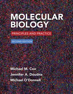 Molecular Biology