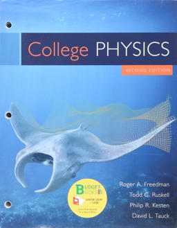 Loose-Leaf Version for College Physics 2e and IClicker Reef Polling (Six Months Access; Standalone)