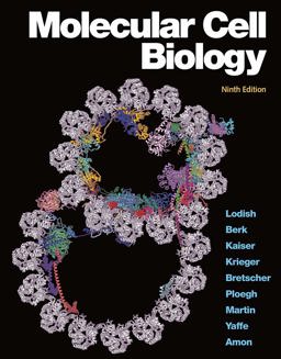 Molecular Cell Biology 9th 9781319208523 Front Cover
