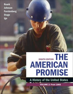 The American Promise, Volume 2