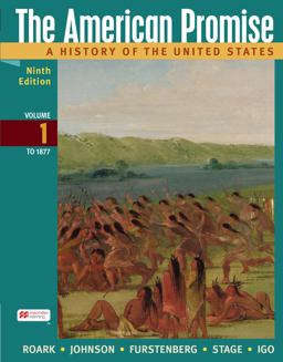 The American Promise, Volume 1