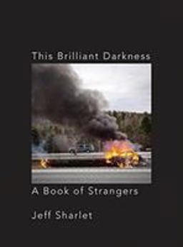 This Brilliant Darkness A Book of Strangers  9781324003205 Front Cover