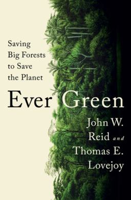 Ever Green Saving Big Forests to Save the Planet  9781324006039 Front Cover