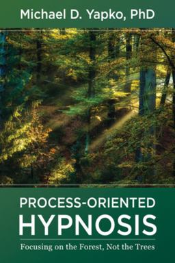 Process-Oriented Hypnosis Focusing on the Forest, Not the Trees  9781324016335 Front Cover
