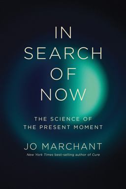 In Search of Now