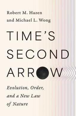 Time's Second Arrow