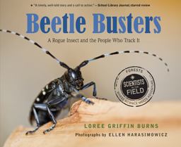 Beetle Busters A Rogue Insect and the People Who Track It  9781328895721 Front Cover