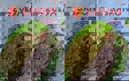 Saxon Math Hake Student Edition Set Grade 4 2018  9781328990174 Front Cover