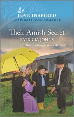 Their Amish Secret Their Amish Secret
