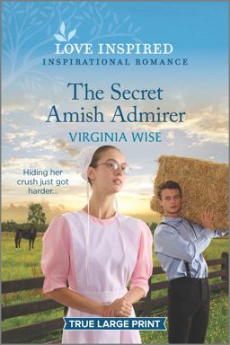 The Secret Amish Admirer The Secret Amish Admirer