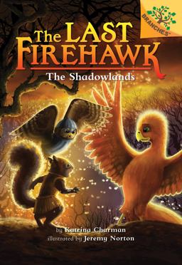 The Shadowlands: a Branches Book (the Last Firehawk #5)  (Library Edition)