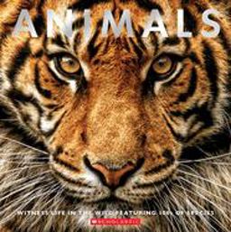 Animals