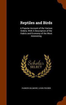 Reptiles and Birds