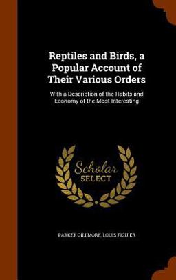 Reptiles and Birds, a Popular Account of Their Various Orders