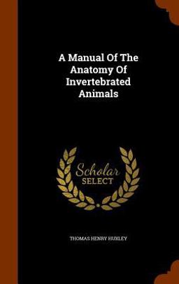 A Manual of the Anatomy of Invertebrated Animals