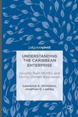 Understanding the Caribbean Enterprise Insights from Msmes and Family Owned Businesses  9781349948789 Front Cover