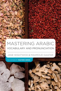 Mastering Arabic Vocabulary and Pronunciation  9781352002256 Front Cover