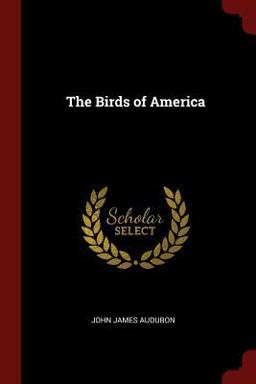 The Birds of America