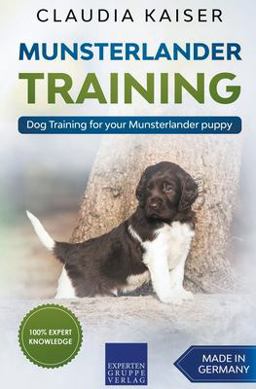 Munsterlander Training - Dog Training for Your Munsterlander Puppy